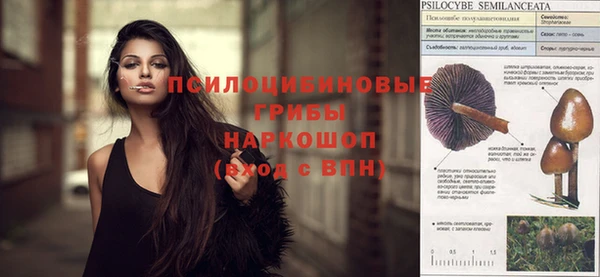 молекула духа Пересвет