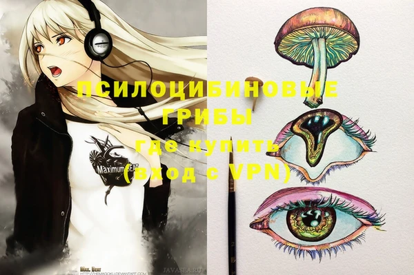 молекула духа Грязовец