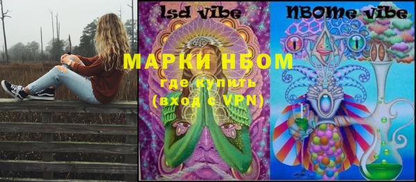 PSILOCYBIN Переславль-Залесский