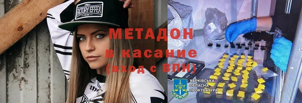 шишки Гвардейск