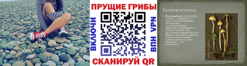 Псилоцибиновые грибы Cubensis где найти наркотики Реж